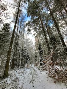 Obiekt Jaśkowe Wzgórze domki na wynajem Szymbark, balia, Domek nr 2 i 3 zimą