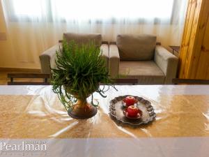 The Spirit Of Tzfat Villa的休息区