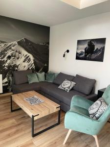 un soggiorno con divano e tavolino da caffè di Czarny Baran a Zakopane