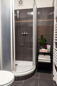 a bathroom with a shower and a toilet at Byt Krenova 1+kk in Brno