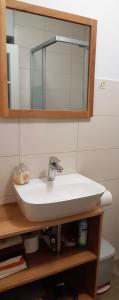 um lavatório branco na casa de banho com um espelho em Ferienwohnungen Meyer em Bollewick