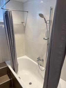 ein Bad mit Dusche und Duschvorhang in der Unterkunft The View of Austria! in Gmunden