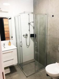 La salle de bains est pourvue d'une douche et de toilettes. dans l'établissement Apartimento Hydral Viene, à Wrocław