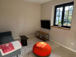 ein Wohnzimmer mit einem Sofa und einem TV in der Unterkunft Ferienwohnung Plan B in Lörrach