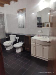 y baño con aseo, lavabo y espejo. en La Casa Del Bosque en Mar del Plata