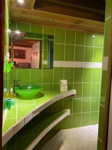 a green bathroom with a green sink and a mirror at Hostal Cecilia in Puerto Viejo