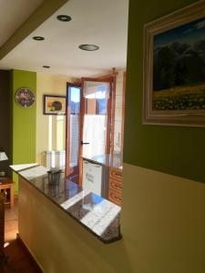 Kuchyňa alebo kuchynka v ubytovaní Apartaments La Bonaigua