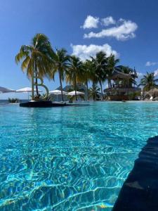 una piscina con palme e un resort di The Grey Rocks Studio a Le Diamant