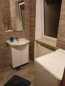 クリミッチャウにあるStella's Monteurswohnungenのバスルーム(白い洗面台、鏡付)