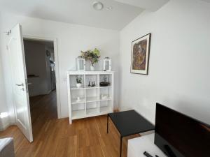 TV a/nebo společenská místnost v ubytování Schöne Altbauwohnung mit großer Dachterrasse für bis zu 8 Personen