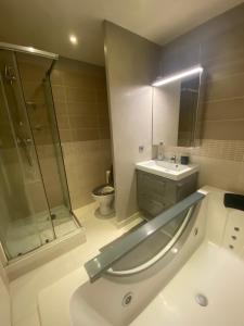 a bathroom with a shower and a sink and a toilet at Appartement duplex T3 - Paris - Roissy CDG - Parc des expositions - Disney - Astérix in Villepinte