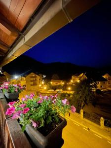 eine Gruppe Blumen auf einem Balkon in der Nacht in der Unterkunft Apartaments La Bonaigua in Valencia de Aneu