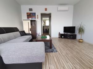 a living room with a couch and a tv at Cztery kąty in Bielsko-Biała