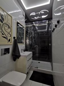 een badkamer met een douche, een toilet en een wastafel bij Cztery kąty in Bielsko-Biala