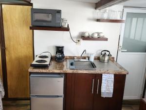 a small kitchen with a stove and a microwave at Depa #6 Tipo Loft en Planta Alta en Centro Histórico in Zacatecas