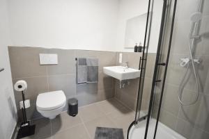 a bathroom with a toilet and a sink and a shower at BLACKFOXREST Ferienwohnung in Feldberg +37 photos