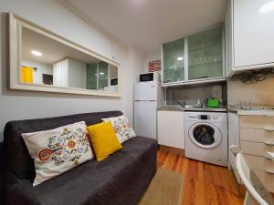 リスボンにあるCasa do Garcês by Lisbon Village Apartmentsの小さなリビングルーム(ソファ、洗濯機付)