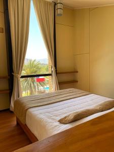 1 dormitorio con 1 cama y ventana grande en Cabañas & Spa Qamawi, en Pan de Azúcar