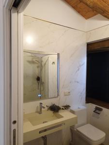 uma casa de banho com um lavatório, um WC e um espelho. em Casa Os Prados da Albela em Triacastela