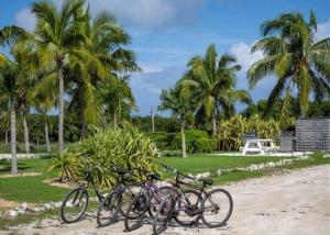 un gruppo di biciclette parcheggiate su una spiaggia con palme di Buttonwood Reserve by Eleuthera Vacation Rentals a James Cistern