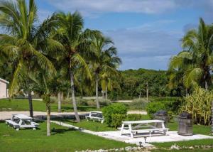 a group of picnic tables in a park with palm trees at Buttonwood Reserve by Eleuthera Vacation Rentals in James Cistern
