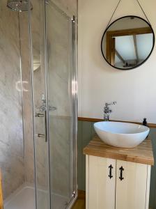 a bathroom with a shower and a sink and a mirror at Silver Fern Glamping in Aberystwyth