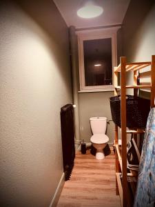 a bathroom with a toilet in a room at Petit prince chambre à louer in Saint Die +3 photos