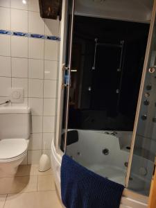 ein Bad mit einer Badewanne, einem WC und einer Dusche in der Unterkunft Hadassa Apartments Saba / Jona in Uetendorf