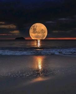 luna llena elevándose sobre la playa por la noche en DEPTO 3 AMB- Ventanales al mar INOLVIDABLES en Mar del Plata