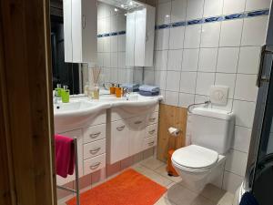 a bathroom with a white toilet and a sink at Hadassa Apartments Saba / Jona in Uetendorf