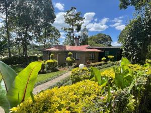 un jardín con una casa en el fondo en Zoe Homes 1br and 2br Cottage own compound -Kericho town near Green Square mall, en Kericho