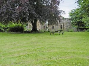 une table de pique-nique sous un arbre dans un champ dans l'établissement The Low Lodge, à Hunmanby