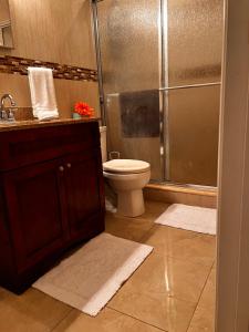 een badkamer met een douche, een toilet en een wastafel bij Nice room near UCF in Orlando