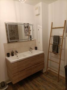uma casa de banho com um lavatório e um espelho em Appartement très spacieux en plein cœur d'agen em Agen