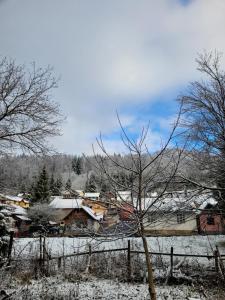 a village covered in snow with a fence and a tree at Apartamentul Florilor de Fân in Azuga