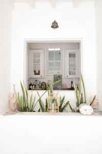 a kitchen with white cabinets and plants on a counter at Conch Shell Harbour Island home in Harbour Island