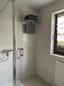 La salle de bains est pourvue d'une douche avec une porte en verre. dans l'établissement Zum Geigenmüller, à Stützengrün