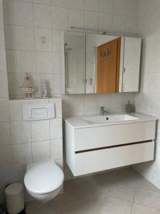 La salle de bains est pourvue d'un lavabo, de toilettes et d'un miroir. dans l'établissement Zum Geigenmüller, à Stützengrün