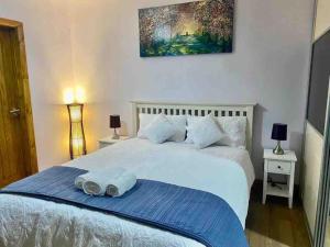 een slaapkamer met een wit bed en een blauwe deken bij Lovely 1 bed Studio Apartment with free parking in Oxford