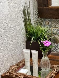 uma mesa com três vasos e um vaso de planta em Chalés na Roça em Pirenópolis