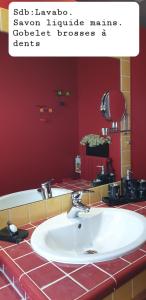 Studio independant Non Fumeur 38m2 calme, confort في بيزييه: حمام مع حوض وجدار احمر