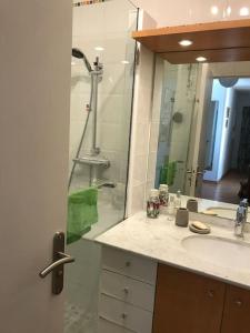 een badkamer met een douche, een wastafel en een spiegel bij Les Collines d'Estanove, charming, bright, calm place with pool in Montpellier