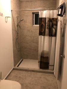 uma casa de banho com chuveiro e cortina de chuveiro em Downtown apartments em Kralendijk