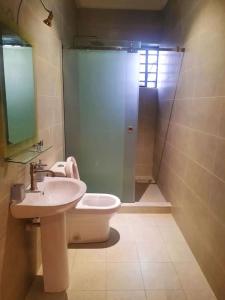 e bagno con servizi igienici, lavandino e doccia. di Akura Villa Adeniyi Jones Ikeja a Ikeja