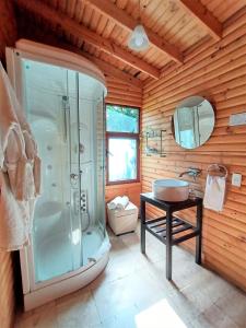 uma casa de banho com um chuveiro e um lavatório. em Canto de Aves em Malinalco