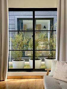 a window with three pots of plants in it at Risco de Hugo in Boquete