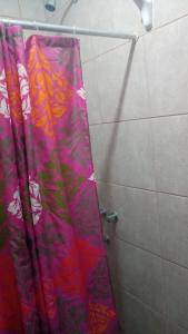 cortina de ducha en un baño junto a la pared en Alojamientos Malargüe en Malargüe