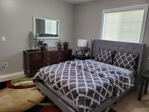 a bedroom with a bed and a dresser and a mirror at No Chores, 10min to downtown and 25min to Niagara Falls in Buffalo