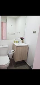 a bathroom with a toilet and a sink at II Cerca de la playa y del centro in La Serena +1 photo