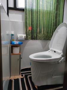 a bathroom with a toilet with a green shower curtain at MIROKU Share House in Mimiharachō